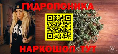 шишки Кунгур
