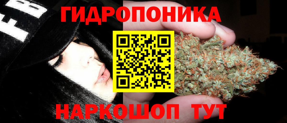 Бошки Шишки конопля  Бошки Шишки тримм  Вход с VPN  Клин  Бошки марихуана индика 